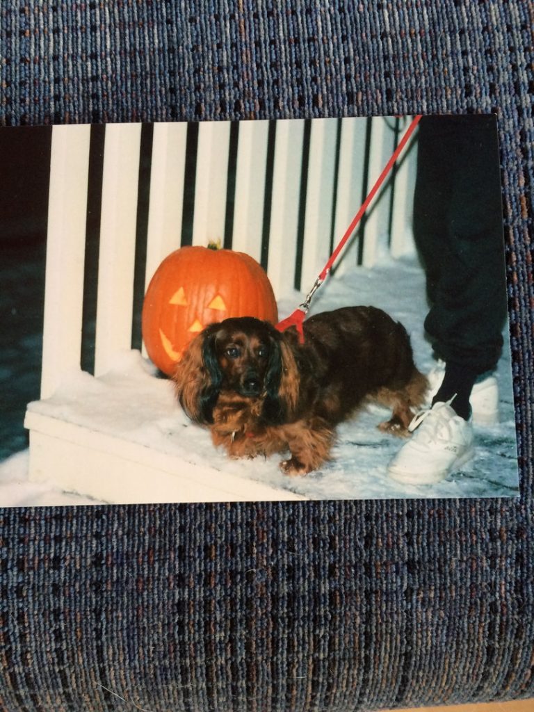 heat transfer of photo